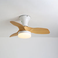 Brisa Ceiling Fan Light - Vakkerlight