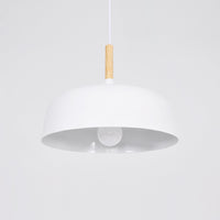 Acorn Pendant Light - Vakkerlight
