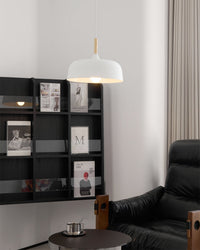 Acorn Pendant Light - Vakkerlight