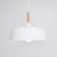 Acorn Pendant Light - Vakkerlight