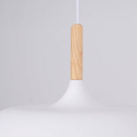 Acorn Pendant Light - Vakkerlight