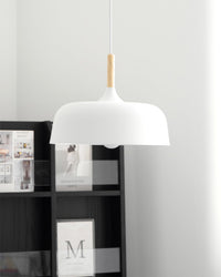 Acorn Pendant Light - Vakkerlight