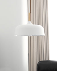 Acorn Pendant Light - Vakkerlight