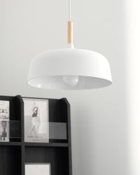 Acorn Pendant Light - Vakkerlight