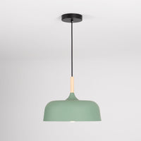 Acorn Pendant Light - Vakkerlight