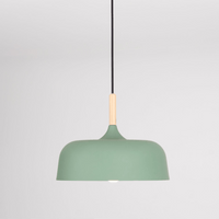 Acorn Pendant Light - Vakkerlight