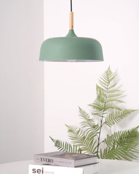 Acorn Pendant Light - Vakkerlight