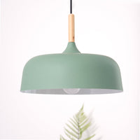 Acorn Pendant Light - Vakkerlight