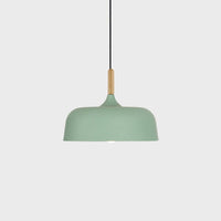 Acorn Pendant Light - Vakkerlight