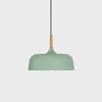 Acorn Pendant Light - Vakkerlight