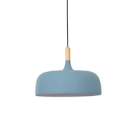 Acorn Pendant Light - Vakkerlight