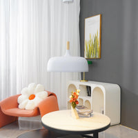 Acorn Pendant Light - Vakkerlight