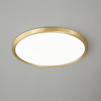 Aurea Disc Ceiling Light - Vakkerlight