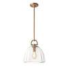 Botanist Dome Pendant Lamp, Transitional style, suitable for kitchen islands and bedrooms