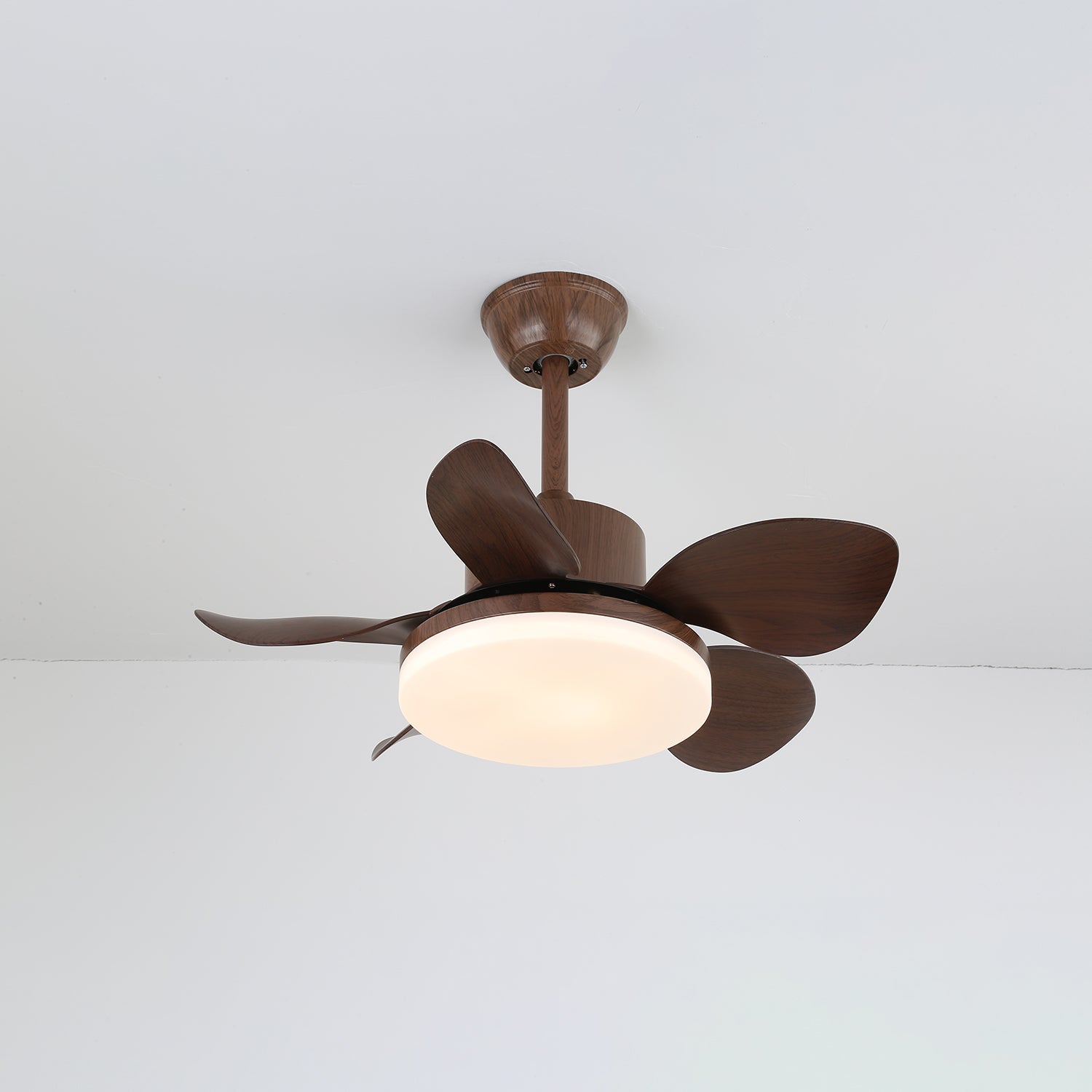 Terra Walnut Ceiling Fan Light - Vakkerlight