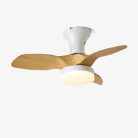 Brisa Ceiling Fan Light - Vakkerlight