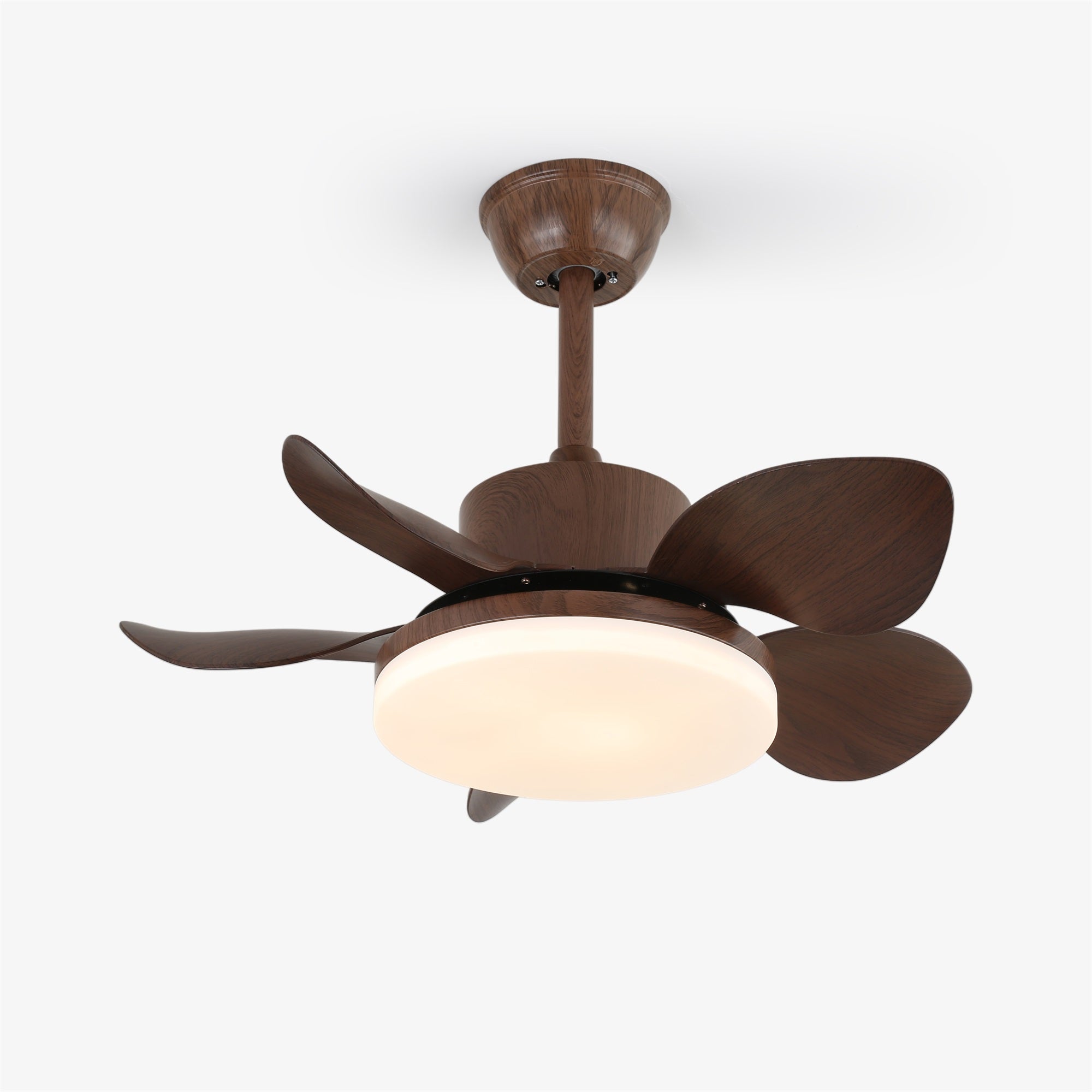 Terra Walnut Ceiling Fan Light - Vakkerlight