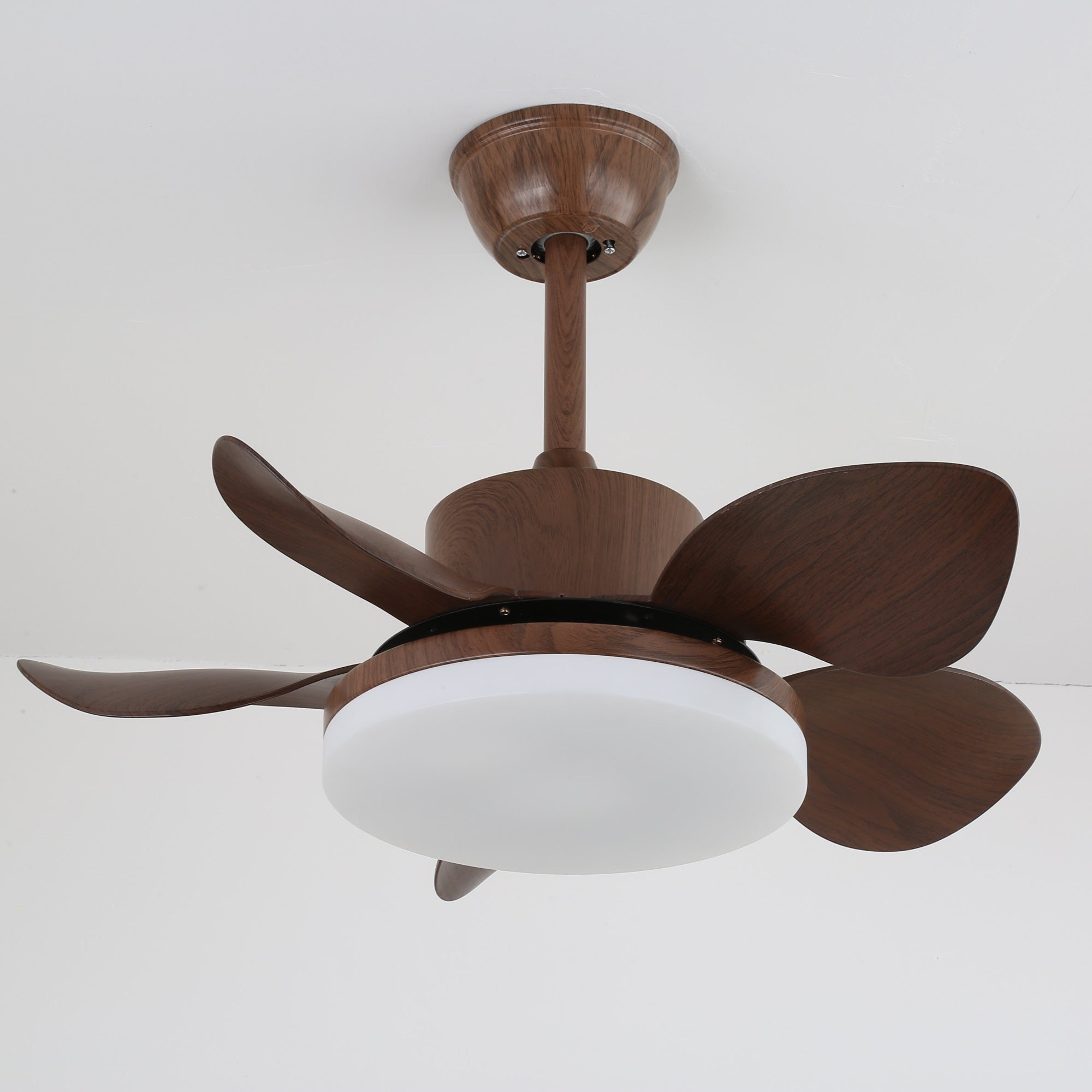 Terra Walnut Ceiling Fan Light - Vakkerlight