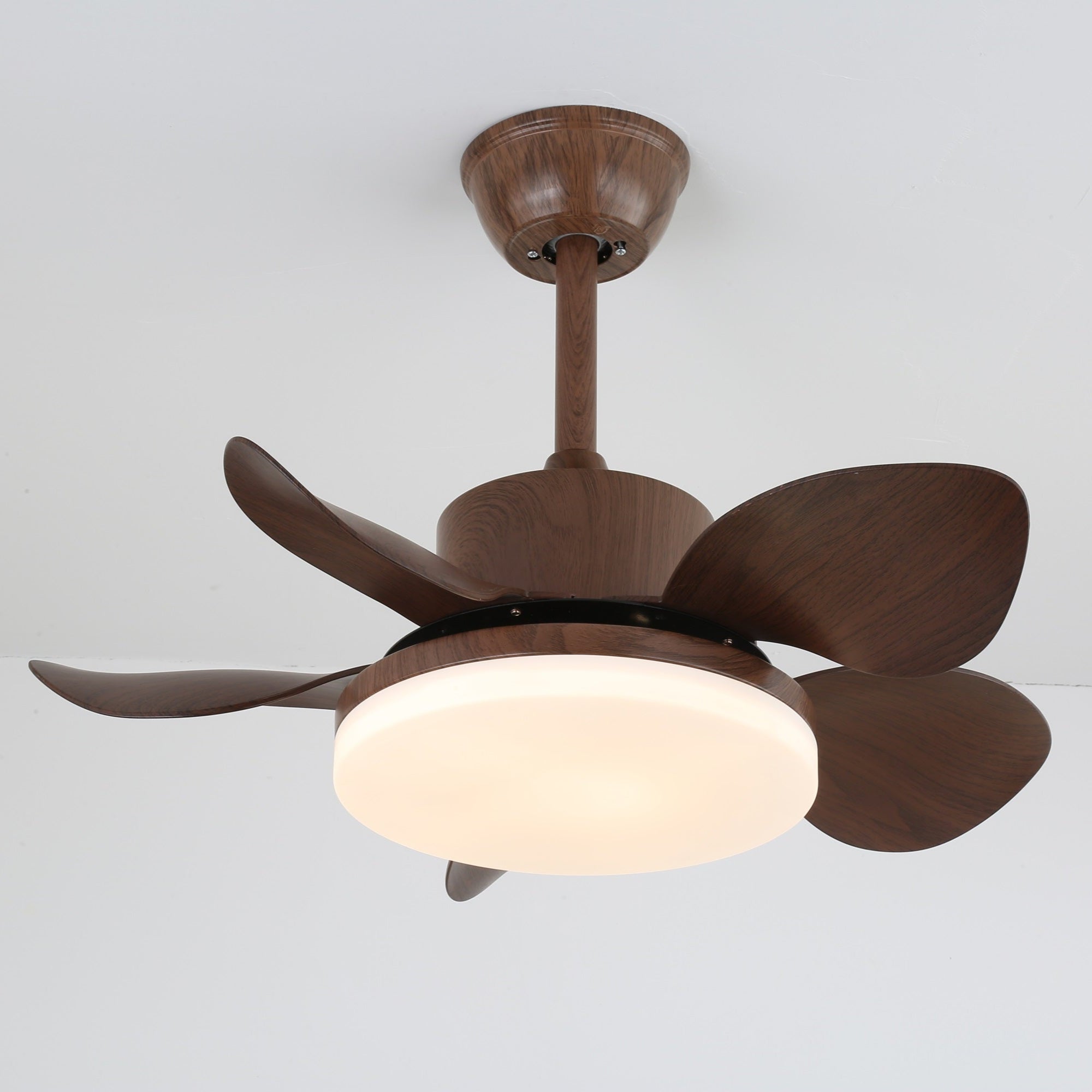Terra Walnut Ceiling Fan Light - Vakkerlight
