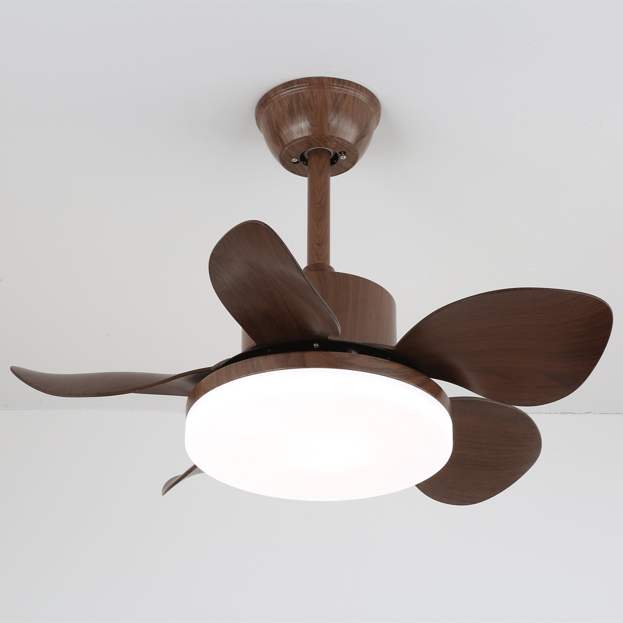 Terra Walnut Ceiling Fan Light - Vakkerlight