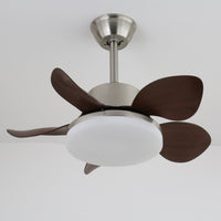 Terra Walnut Ceiling Fan Light - Vakkerlight
