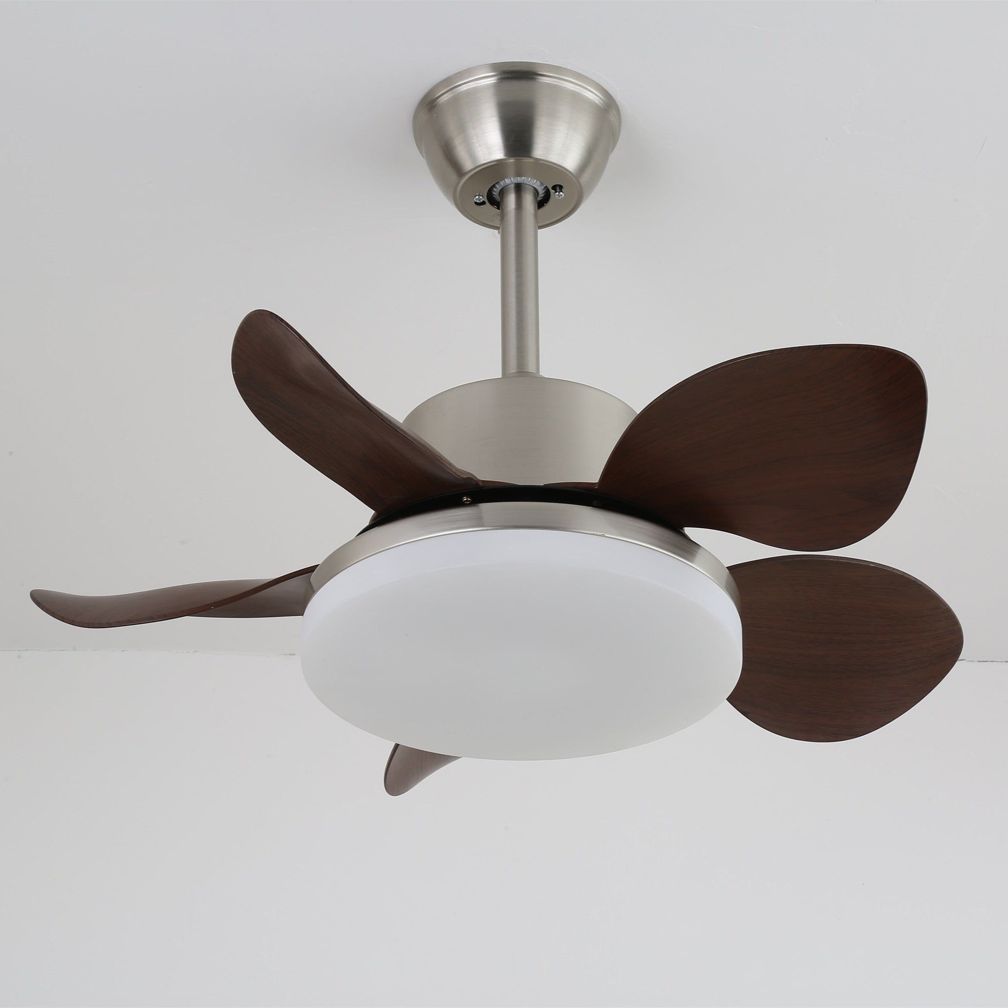 Terra Walnut Ceiling Fan Light - Vakkerlight
