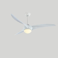 Traditional Ceiling Fan Light - Vakkerlight