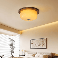 Glass Dome Ceiling Light - Vakkerlight
