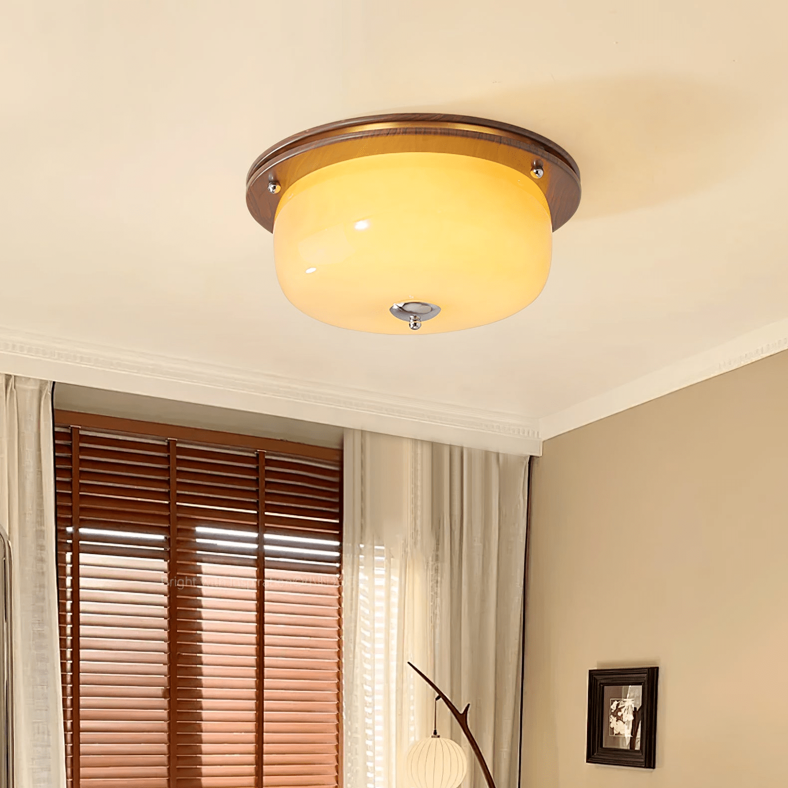 Glass Dome Ceiling Light - Vakkerlight