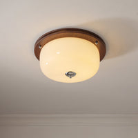 Glass Dome Ceiling Light - Vakkerlight