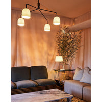 Howard Chandelier - Vakkerlight