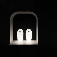 Pet Desk Light - Vakkerlight