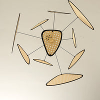 Screen Cannage Pendant Swag Light - Vakkerlight