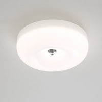 Swirl Glass Ceiling Lamp - Vakkerlight