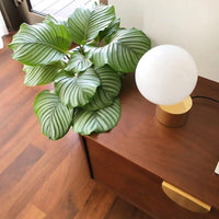 Tip of The Tongue Table Lamp - Vakkerlight