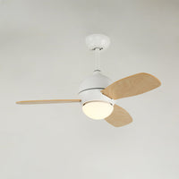 Vento Ceiling Fan Light - Vakkerlight