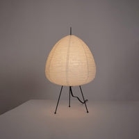 Xuanzhi Table Lamp - Vakkerlight