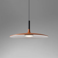Aplomb Metal Pendant Lamp - Vakkerlight