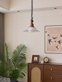Ardell Pendant Light - Vakkerlight