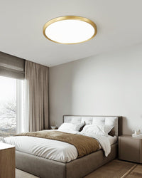 Aurea Disc Ceiling Light - Vakkerlight