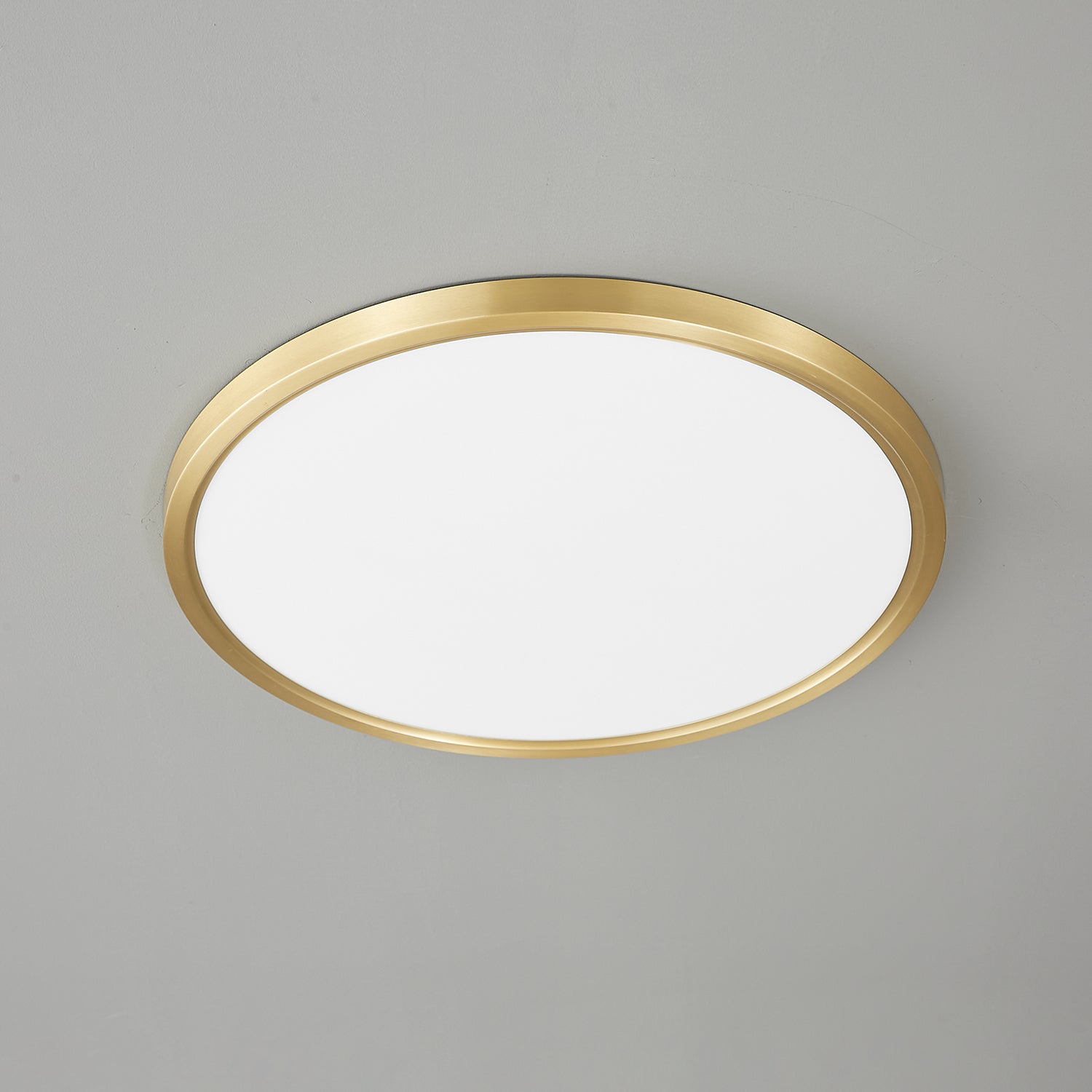 Aurea Disc Ceiling Light - Vakkerlight