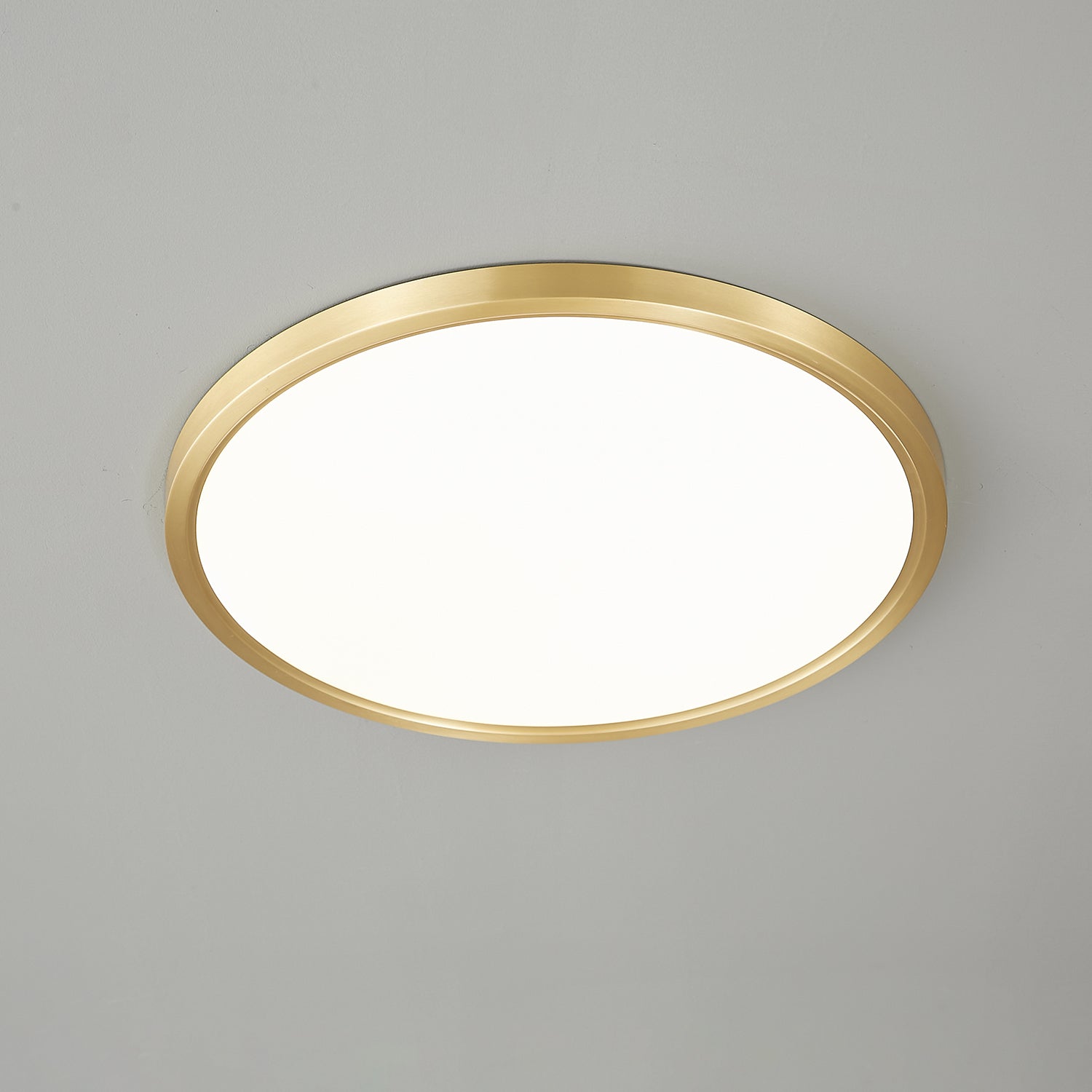 Aurea Disc Ceiling Light - Vakkerlight