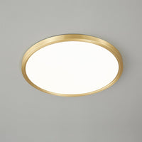 Aurea Disc Ceiling Light - Vakkerlight