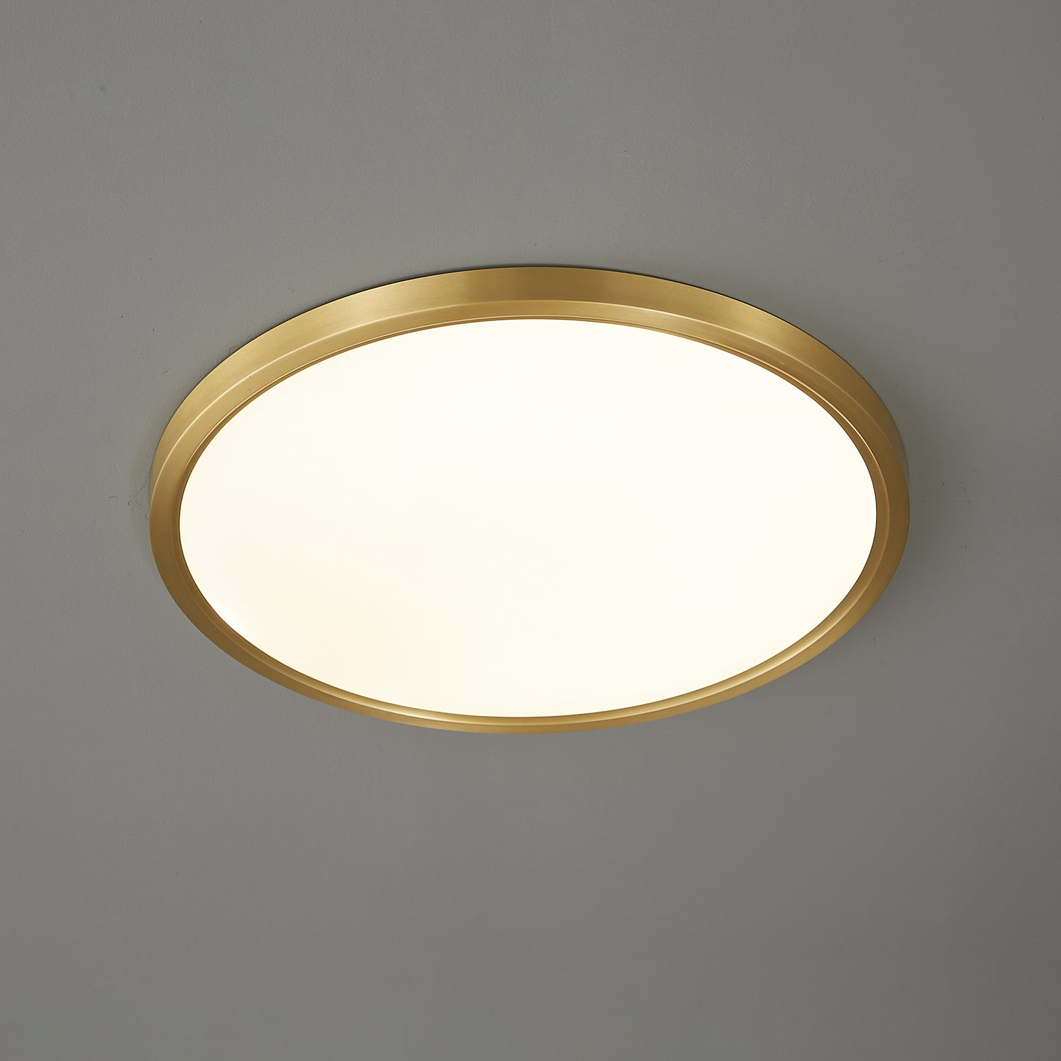 Aurea Disc Ceiling Light - Vakkerlight