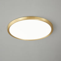 Aurea Disc Ceiling Light - Vakkerlight