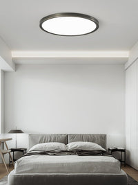 Aurea Disc Ceiling Light - Vakkerlight