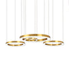 Ring LED Pendant Light, Modern minimalist style, suitable for hotel lobbies and dining rooms