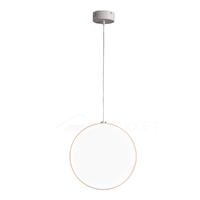 Focus Pendant Light - Vakkerlight