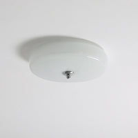 Glacier Essence Ceiling Light - Vakkerlight