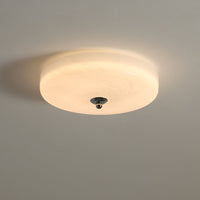 Glacier Essence Ceiling Light - Vakkerlight